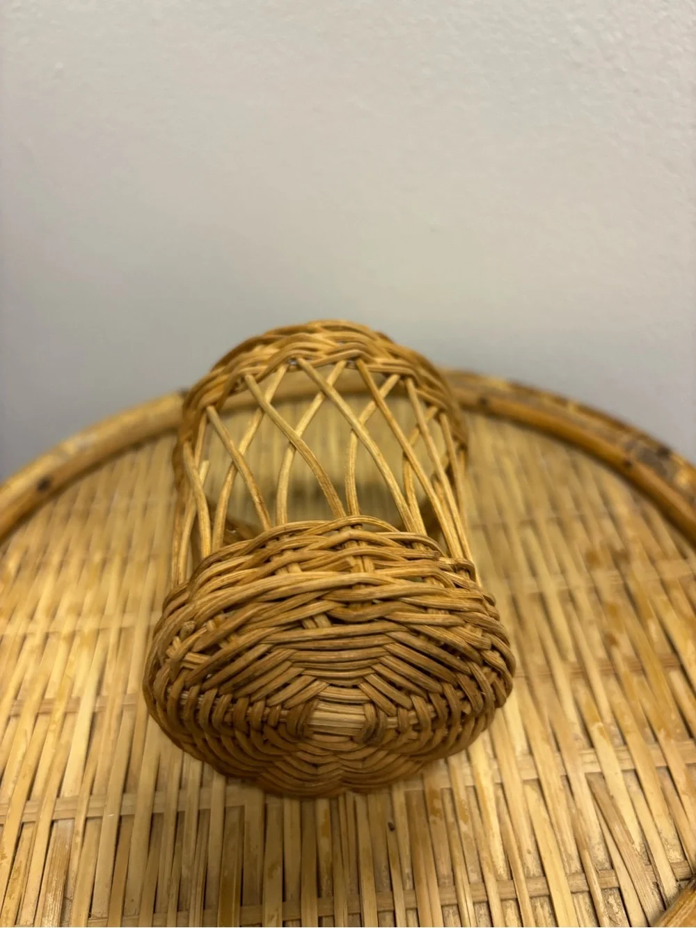 Handwoven Natural Wicker Decorative Basket - Brown